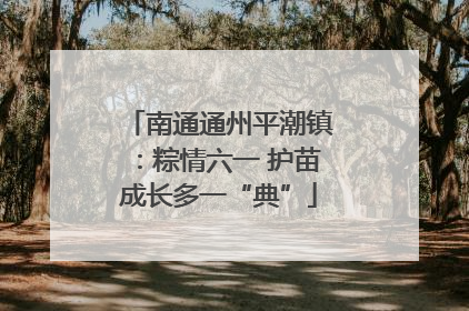 南通通州平潮镇：粽情六一 护苗成长多一“典”