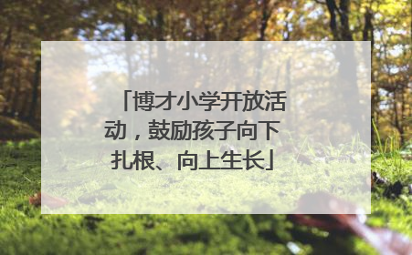 博才小学开放活动，鼓励孩子向下扎根、向上生长