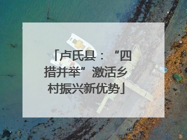 卢氏县：“四措并举”激活乡村振兴新优势
