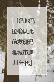 危地马拉确认此前发现玛雅城市遗址年代