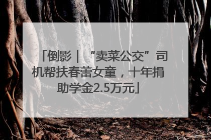 倒影｜“卖菜公交”司机帮扶春蕾女童，十年捐助学金2.5万元