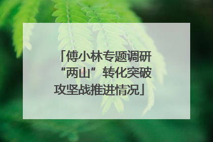 傅小林专题调研“两山”转化突破攻坚战推进情况