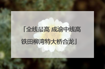 全线最高 成渝中线高铁田柳湾特大桥合龙