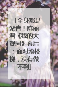 全身都是淤青！陈丽君《我的大观园》幕后：面对滚楼梯，没有做不到