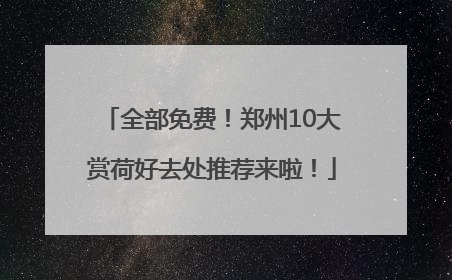 全部免费！郑州10大赏荷好去处推荐来啦！