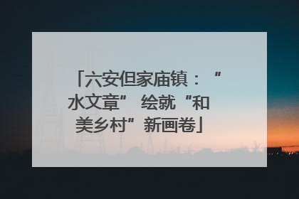六安但家庙镇：“水文章” 绘就“和美乡村”新画卷