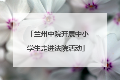 兰州中院开展中小学生走进法院活动