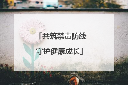 共筑禁毒防线 守护健康成长