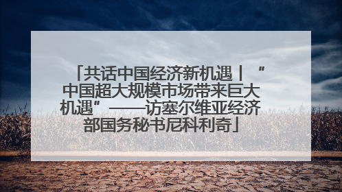 共话中国经济新机遇丨“中国超大规模市场带来巨大机遇”——访塞尔维亚经济部国务秘书尼科利奇