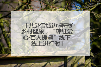 共赴雪域边疆守护乡村健康，“韩红爱心·百人援疆”线下线上进行时