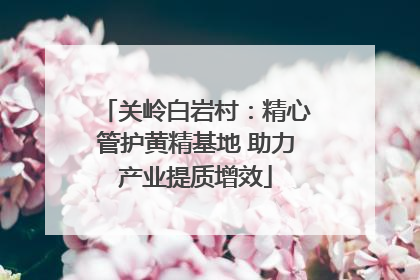关岭白岩村：精心管护黄精基地 助力产业提质增效