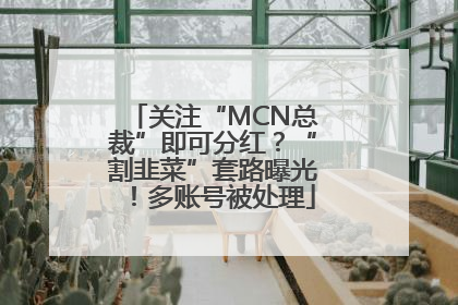 关注“MCN总裁”即可分红？“割韭菜”套路曝光！多账号被处理