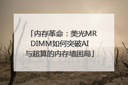 内存革命：美光MRDIMM如何突破AI与超算的内存墙困局