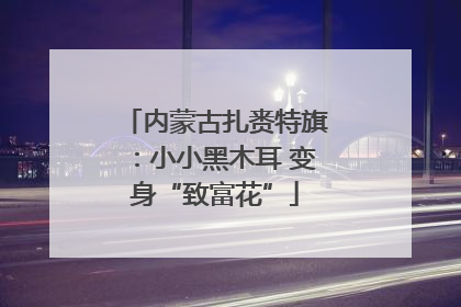 内蒙古扎赉特旗：小小黑木耳 变身“致富花”