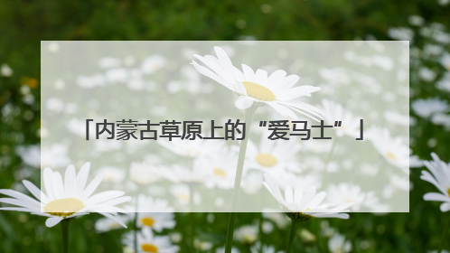 内蒙古草原上的“爱马士”