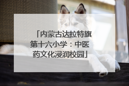 内蒙古达拉特旗第十六小学：中医药文化浸润校园