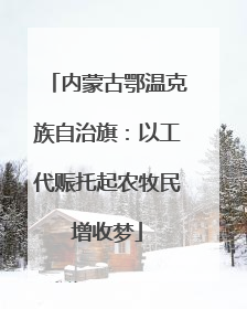 内蒙古鄂温克族自治旗：以工代赈托起农牧民增收梦