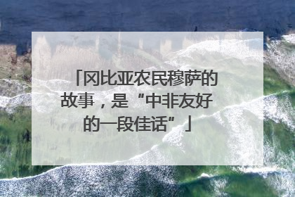 冈比亚农民穆萨的故事，是“中非友好的一段佳话”
