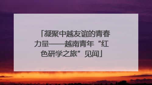 凝聚中越友谊的青春力量——越南青年“红色研学之旅”见闻