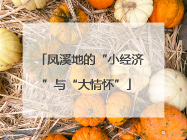 凤溪地的“小经济”与“大情怀”