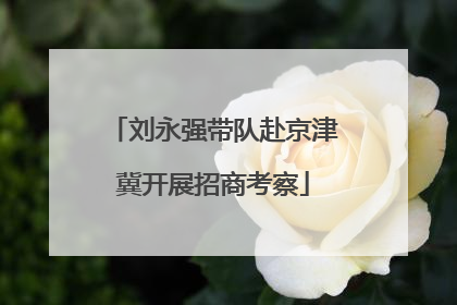 刘永强带队赴京津冀开展招商考察