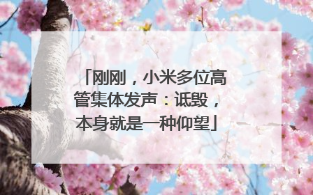 刚刚，小米多位高管集体发声：诋毁，本身就是一种仰望