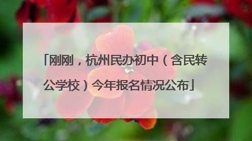 刚刚，杭州民办初中（含民转公学校）今年报名情况公布