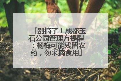 别摘了！成都玉石公园管理方提醒：杨梅可能残留农药，勿采摘食用
