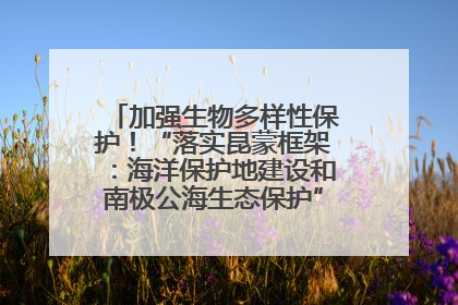 加强生物多样性保护！“落实昆蒙框架：海洋保护地建设和南极公海生态保护”主题论坛将举办