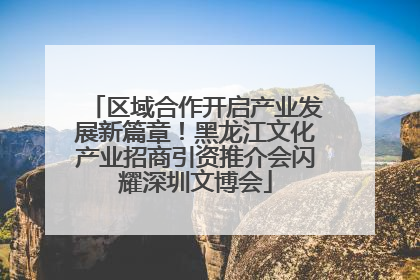 区域合作开启产业发展新篇章！黑龙江文化产业招商引资推介会闪耀深圳文博会