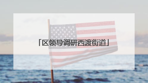 区领导调研西渡街道