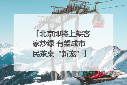 北京即将上架客家炒绿 有望成市民茶桌“新宠”
