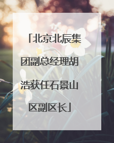 北京北辰集团副总经理胡浩获任石景山区副区长