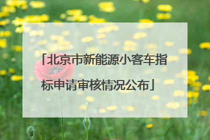 北京市新能源小客车指标申请审核情况公布
