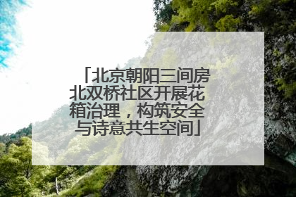 北京朝阳三间房北双桥社区开展花箱治理，构筑安全与诗意共生空间
