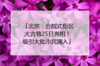 北京：合院式街区大吉巷25日亮相！吸引大批市民涌入