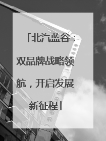 北汽蓝谷：双品牌战略领航，开启发展新征程