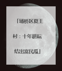 埇桥区夏王村：十年耕耘结出富民瓜