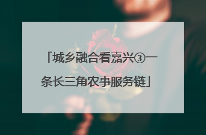 城乡融合看嘉兴③一条长三角农事服务链