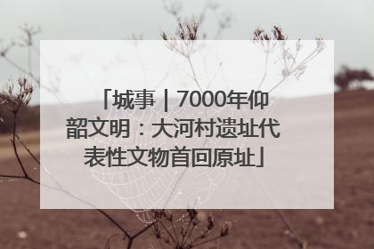 城事｜7000年仰韶文明：大河村遗址代表性文物首回原址