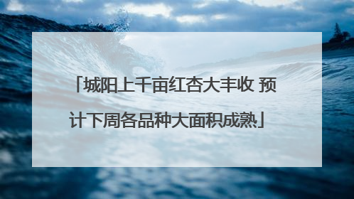 城阳上千亩红杏大丰收 预计下周各品种大面积成熟