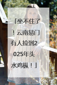 坐不住了！云南易门有人捡到2025年头水鸡枞！