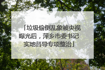 垃圾偷倒乱象被央视曝光后，萍乡市委书记实地督导专项整治