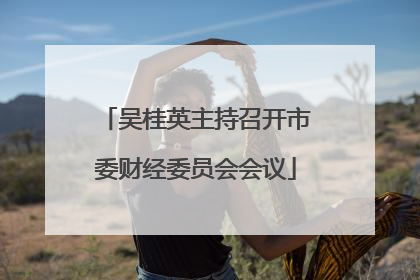 吴桂英主持召开市委财经委员会会议