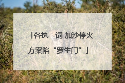 各执一词 加沙停火方案陷“罗生门”
