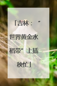 吉林：“世界黄金水稻带”上插秧忙