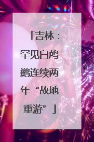 吉林：罕见白鸬鹚连续两年“故地重游”