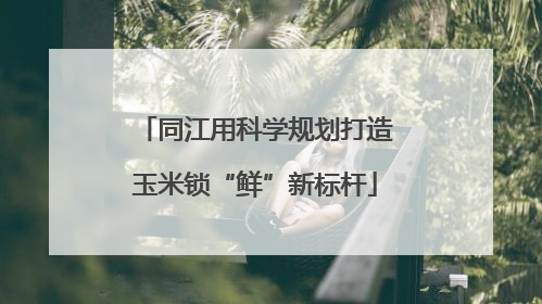 同江用科学规划打造玉米锁“鲜”新标杆