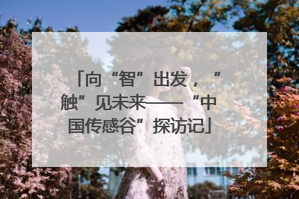 向“智”出发，“触”见未来——“中国传感谷”探访记