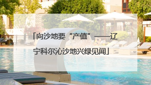 向沙地要“产值”——辽宁科尔沁沙地兴绿见闻